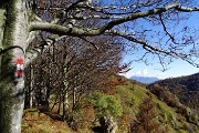 Dalla Culmine di S. Pietro allo Zuc di Maesimo sul sentiero alto estivo 21 DOL il 19 ottobre 2015   - FOTOGALLERY
